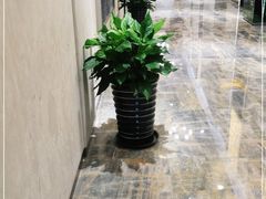 -宝燕壹号景观餐厅(龙盛国际商业广场店)