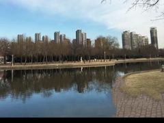 -泰丰公园