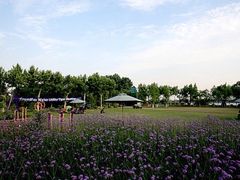 -太阳岛度假酒店