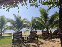 -三亚海棠湾万丽度假酒店