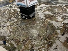-盒马X会员店(上海森兰商都店)
