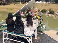 -铁山坪森林公园