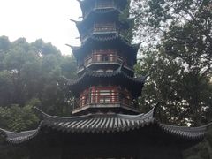 -上海佘山国家森林公园西佘山园