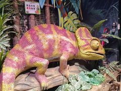 -正佳雨林生态植物园