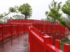 -杭州湾海上花田景区