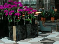 -天津君隆威斯汀酒店