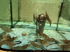 大堂-日进一片海.生腌海鲜火锅.宵夜烧烤(三里屯总店)