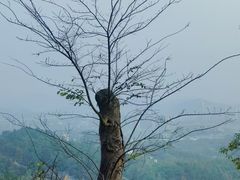 -昭山风景名胜区