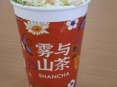 -雾与山茶(大禹城店)