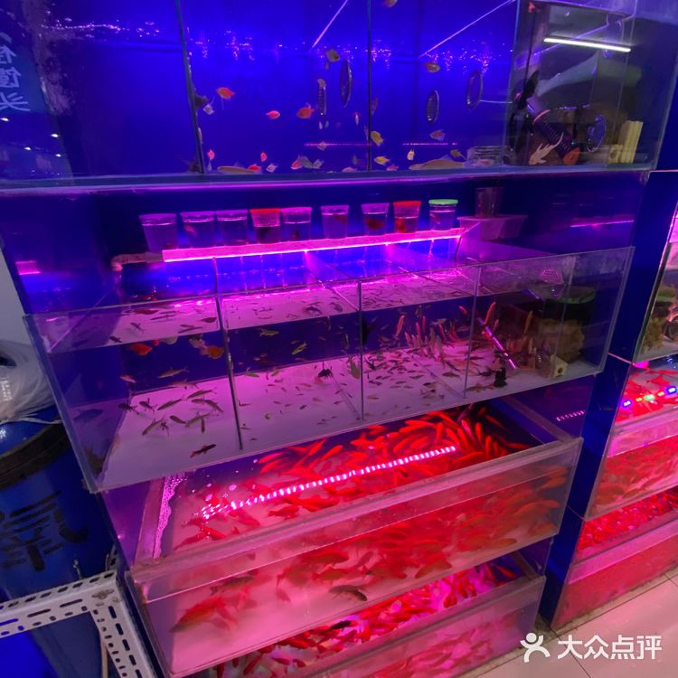 驱车10km来买肉蛋堡