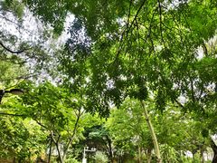 -莲花池公园