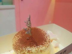 小提苏梳乎厘-狐狸和向日葵(北京路店)