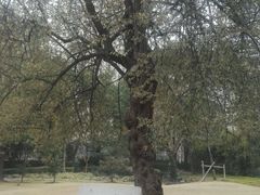 -苏州河梦清园环保主题公园