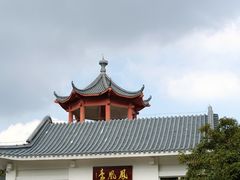 -梧桐山风景名胜区