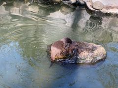 -杭州动物园