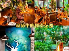 -咖法森林·咖啡  酒吧(天河店)