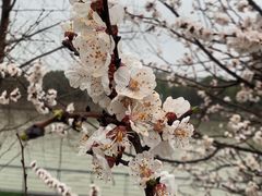 -BUND·FIVE外滩5号(天际店)