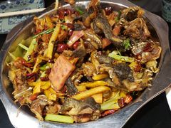 干锅牛蛙-馋嘴蛙火锅