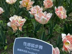 -朝阳公园