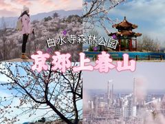 -白水寺森林公园