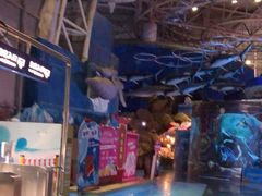 -烟台海昌鲸鲨海洋公园