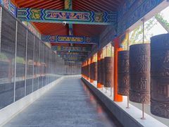 -皇罗禅寺