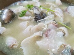 -田园石锅鱼