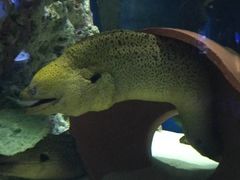 -海合安武汉极地海洋公园