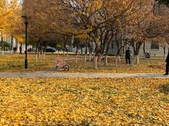 -东北大学(南湖校区)