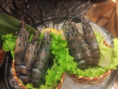 基围虾（活）6只-湊湊火锅·茶憩(打浦桥日月光店)