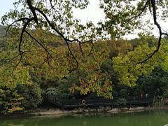 -白马涧龙池景区