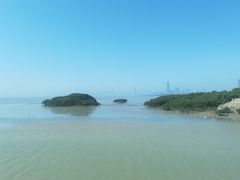 -福田红树林生态公园
