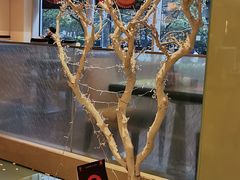 -上海浦东假日酒店逸庭咖啡厅