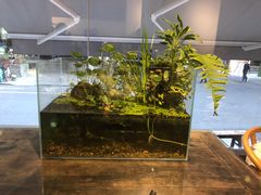 水产区-甜心闲生传统手工冰粉(奎星楼店)
