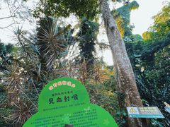 -海南热带野生动植物园
