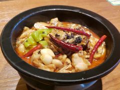 黑松茸牛肝菌焖牛蛙-云海肴·汽锅鸡·云南菜(天山百盛优客店)