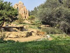 -北京野生动物园