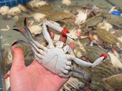 -一方渔歌蒸汽海鲜自助(文化路万达广场店)