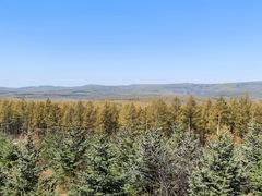 -塞罕坝国家级自然保护区