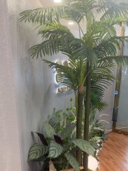 点击看大图 -八佰伴8008星级形象店