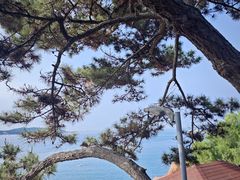 -青岛第一海水浴场