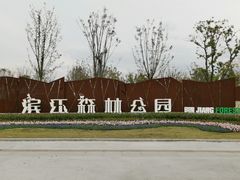 -上海滨江森林公园