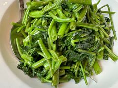 -饭怕鱼(阳光100店)