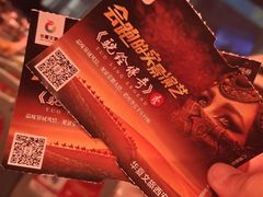 -《驼铃传奇》秀