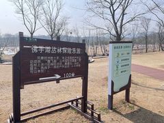 -佛手湖郊野公园