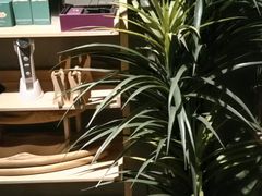 -施奈儿.洗头頭療.按摩SPA.采耳(上梅林店)