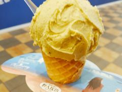 -野人先生现做冰淇淋(西安赛格店)