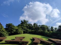 -深圳仙湖植物园