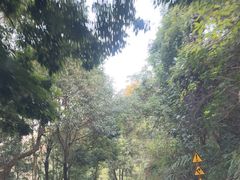 -广州市帽峰山景区