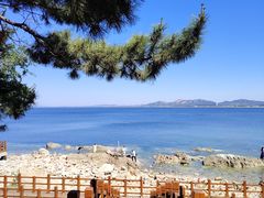 -养马岛旅游度假区